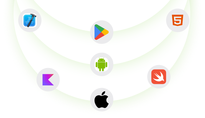 Multi-Language Native Code Export